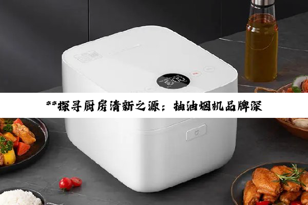 **探寻厨房清新之源:抽油烟机品牌深度解析与优选指南**