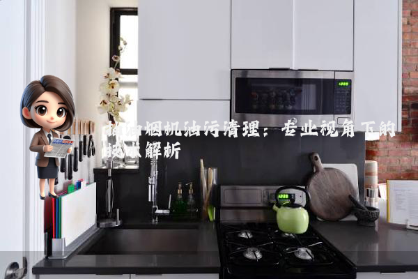抽油烟机油污清理:专业视角下的技术解析